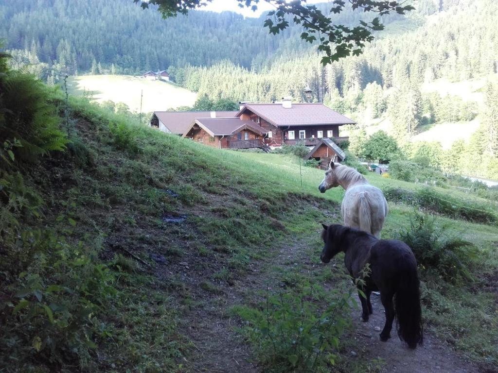 Апартаменти Neudegghof Ебен-ім-Понґау Екстер'єр фото